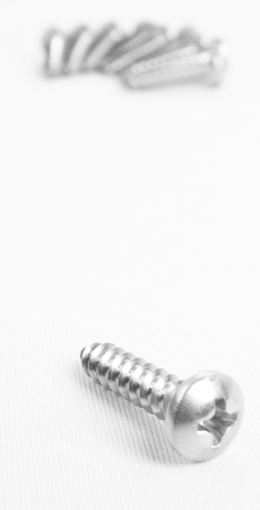Stainless Steel Cab Light Screw Set - 7.3 Powerstroke (1973-1997)